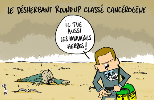 image_roundup-desherbant-glyphosate-cancer